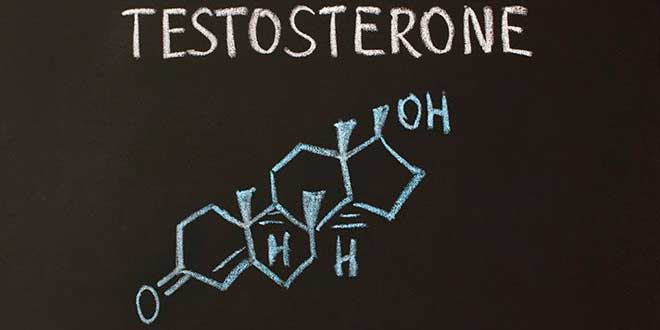 testosterona alta