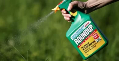 Plantio mecanizado: 4 tendências que estão revolucionando o setor 4 roundup