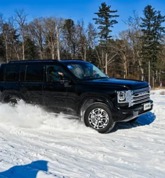 GWM, GO WITH MORE no Ano Novo — GWM Celebra o Ano Novo Branco com seu Carnaval de Gelo e Neve 1 5