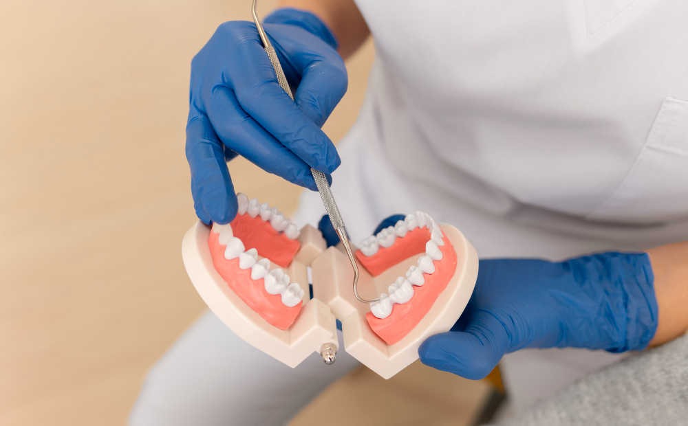 Próteses Dentárias Modernas: Evolução, Conforto e Funcionalidade na Reabilitação Oral 1 protese dentaria dentes